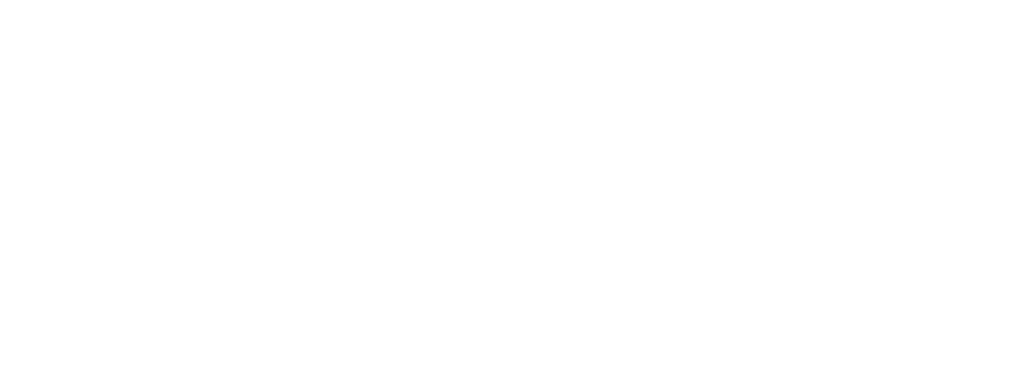 R I C S logo